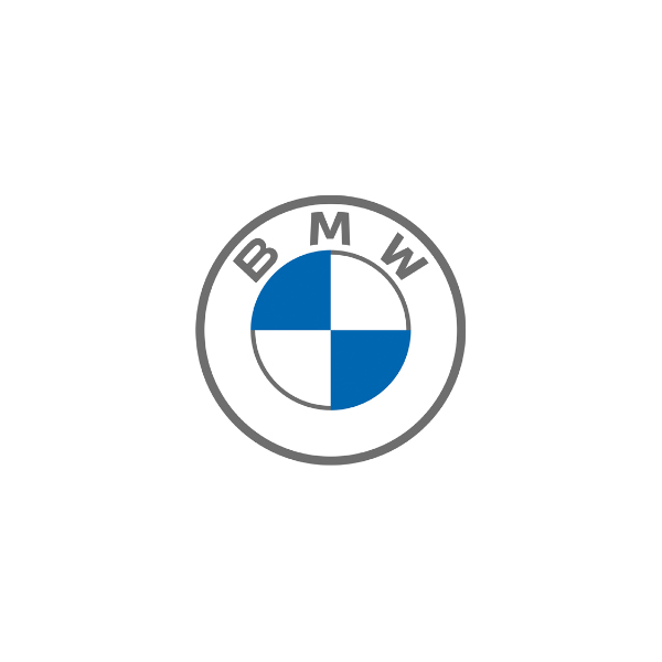 Электропороги для автомобилей BMW